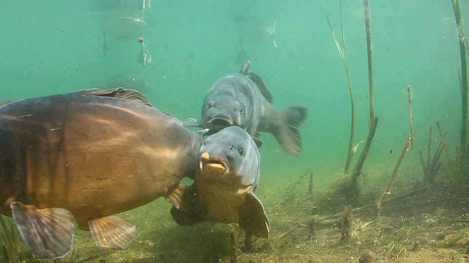 diverse - kvklfdklf.jpg